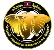 Young Elephants FC