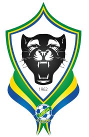 Federação de Futebol do Gabão