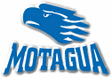 Club Deportivo Motagua