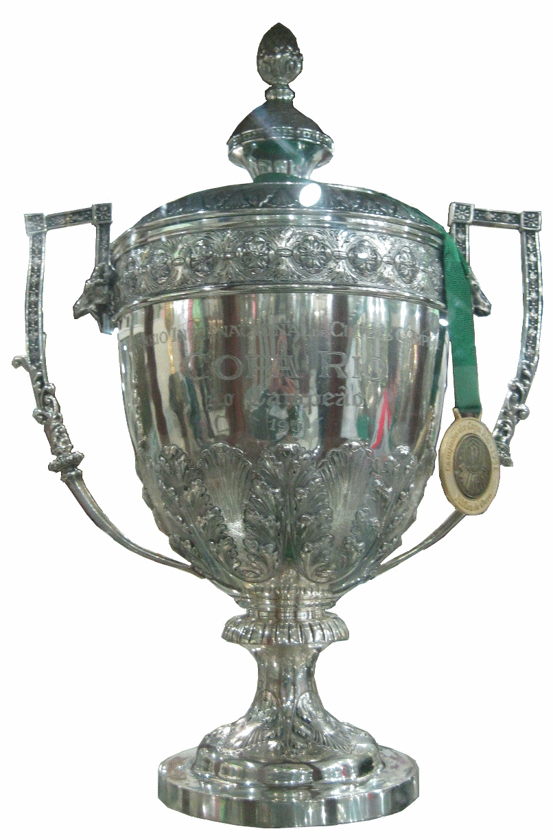 Campeão da Copa Rio, 1951.  Palmeiras campeão mundial, Futebol