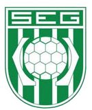 Segundo distintivo do Gama - 1978