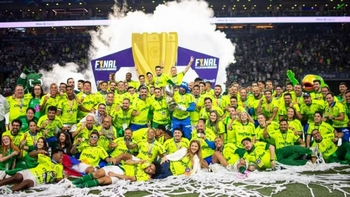 Palmeiras