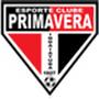 Primavera de Indaiatuba