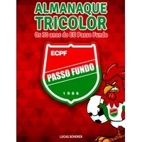 EC Passo Fundo