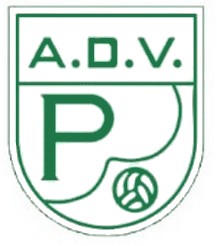 Segundo escudo da AD Vila das Palmeiras