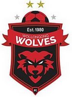 Wollongong Wolves